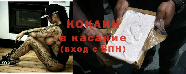 гидра Абаза