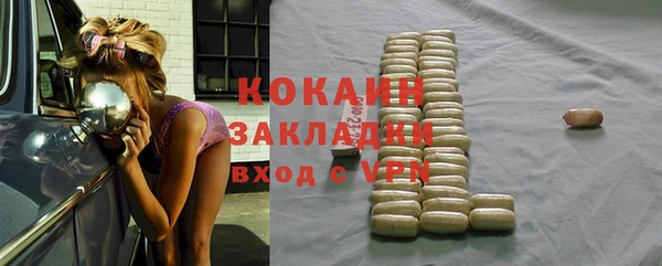 гидра Абаза