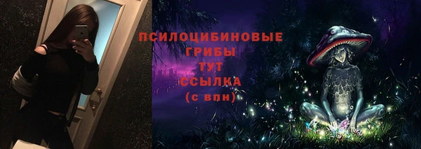 прущие крисы Мегион