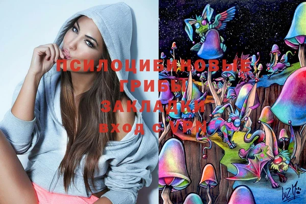 эйфоретик Абинск