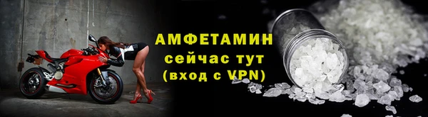 гидра Абаза