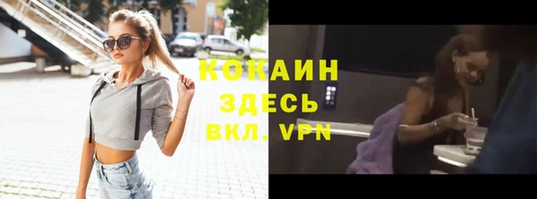 гидра Абаза