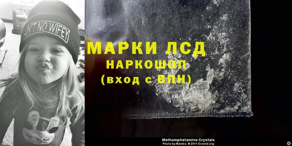 гидра Абаза