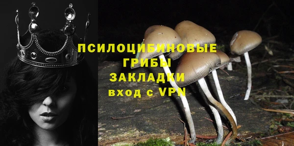 гидра Абаза