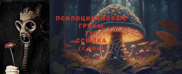 эйфоретик Абинск