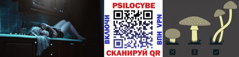 МЕГА онион  Александровск  Псилоцибиновые грибы Psilocybe 